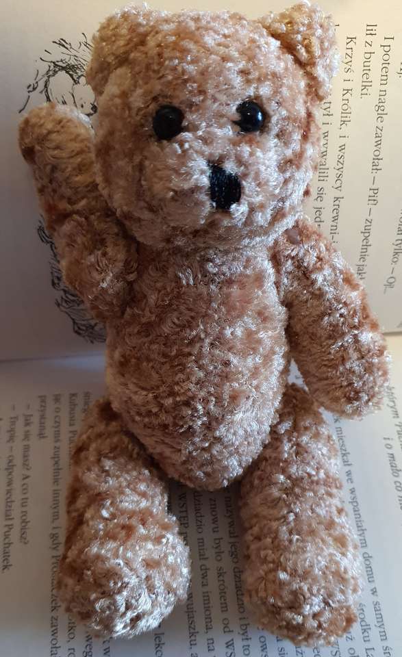 urso Teddy quebra-cabeça