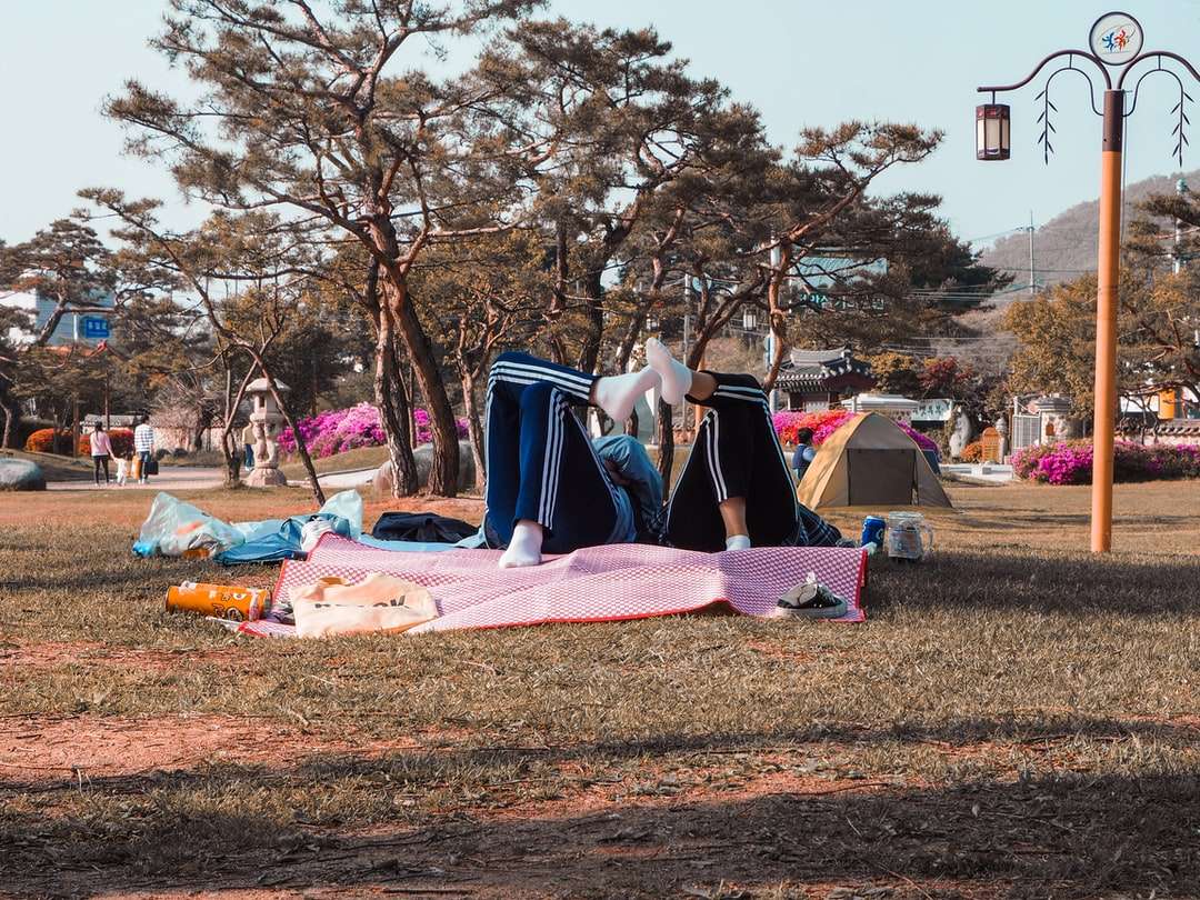 dwie osoby leżące na różowej macie w parku puzzle online