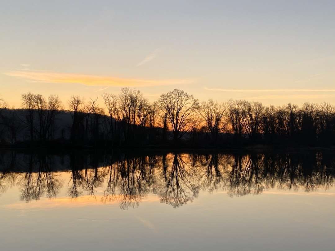 sylwetka drzew w pobliżu zbiornika wodnego podczas zachodu słońca puzzle online