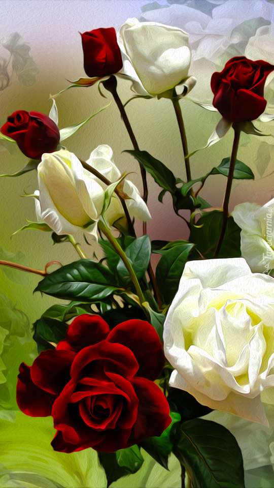 vita och röda rosor pussel