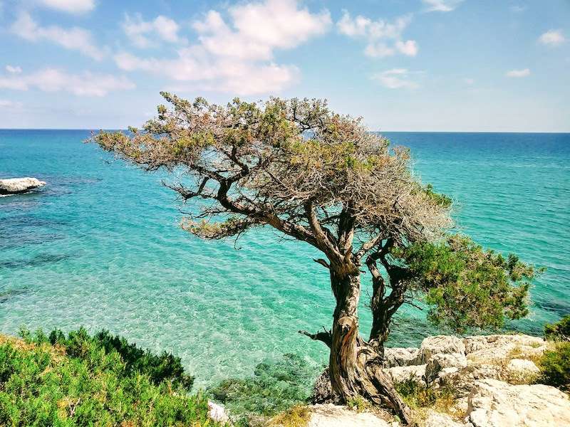 stary człowiek i morze Sardynia Włochy puzzle online