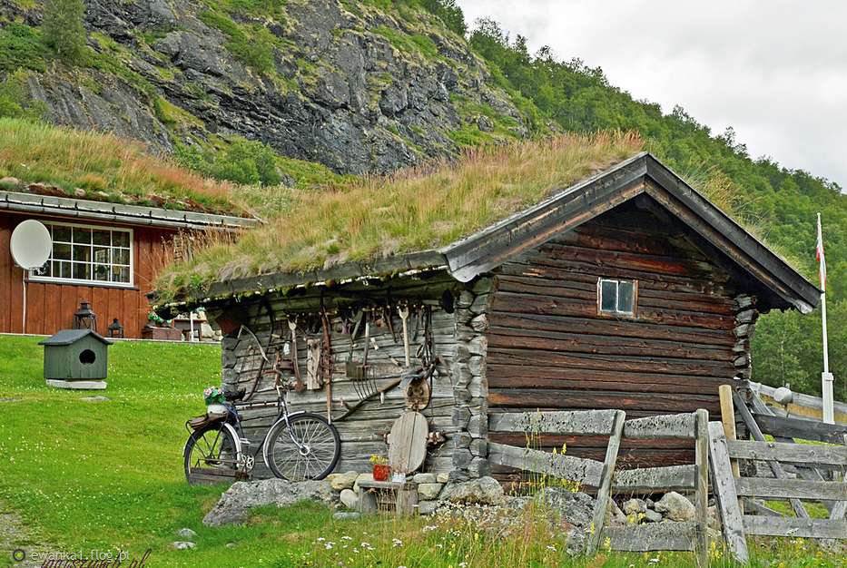 zielone dachy w norwegii puzzle online