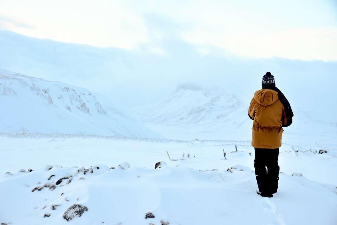 osoba spacerująca po zaśnieżonym terenie puzzle online