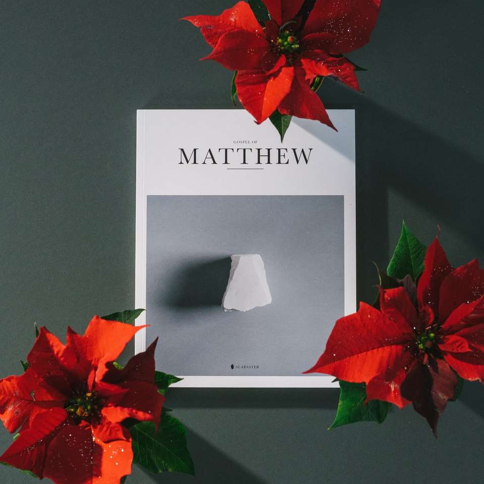 Książka Mateusza w pobliżu czerwonych kwiatów poinsecji puzzle online