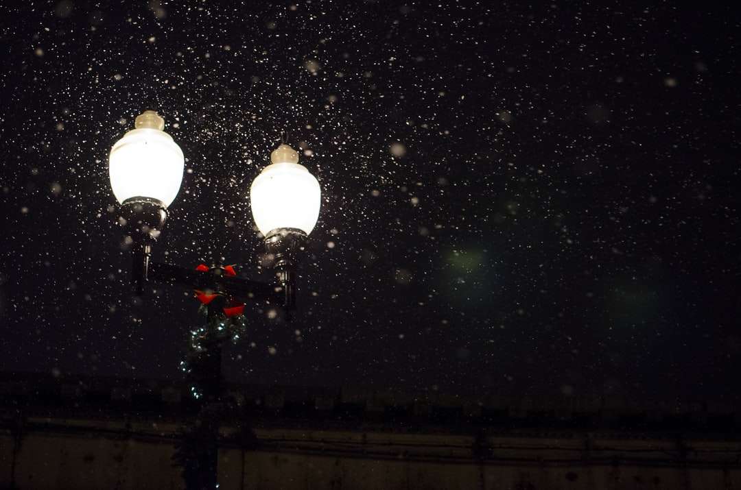 zdjęcie z niskiego kąta 2-punktowej lampy ze śniegiem puzzle online