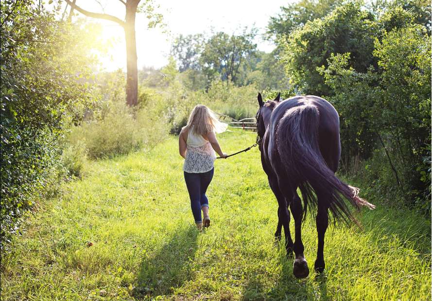 Horse and a girl puzzle online