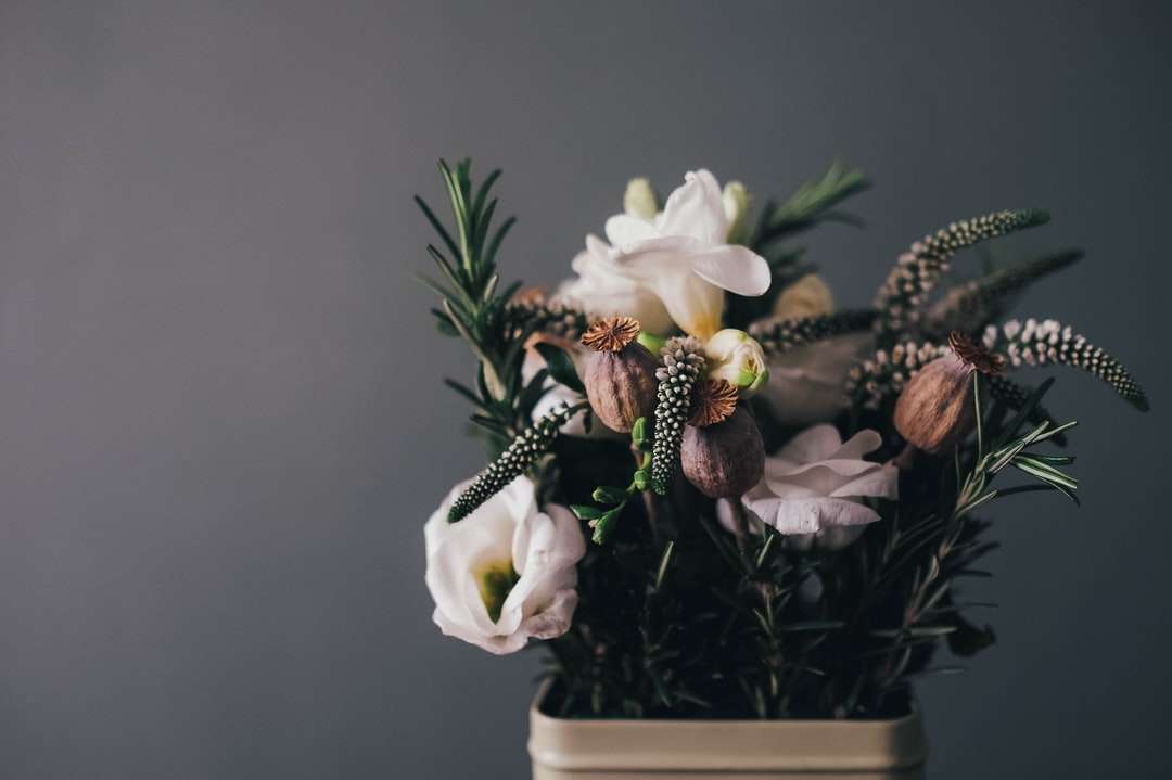białe płatki kwiatów w szarej doniczce w pokoju puzzle online