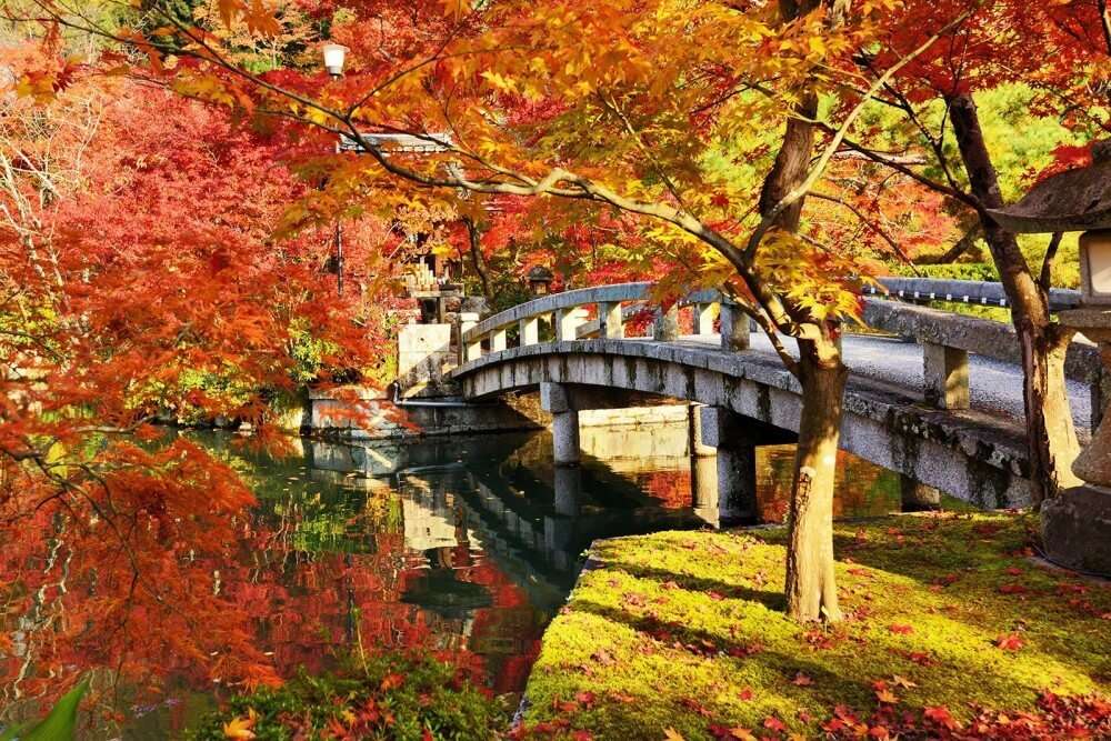 rzeka z mostem, jesień puzzle online
