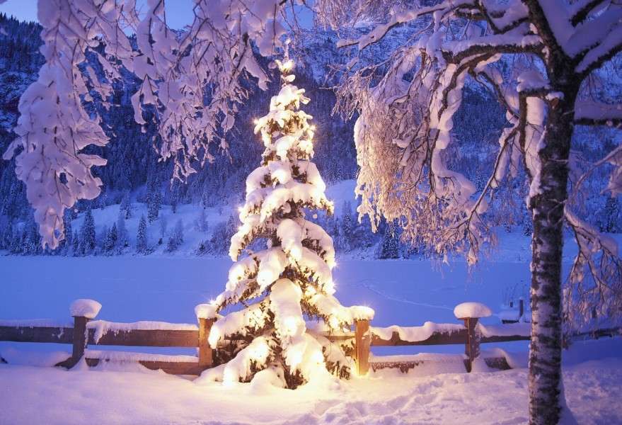 Árvore de Natal com neve e iluminação quebra-cabeça