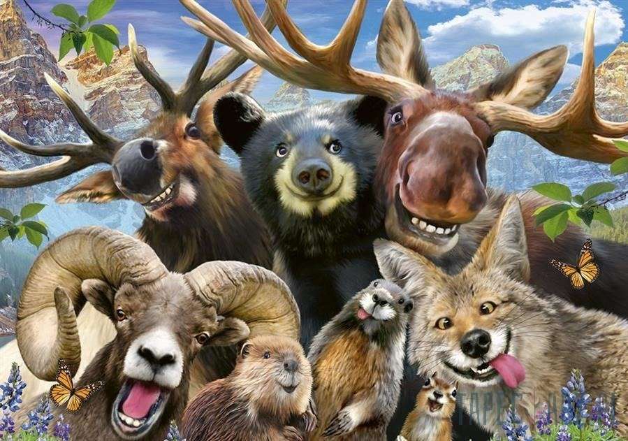 śmieszne zwierzęta puzzle online