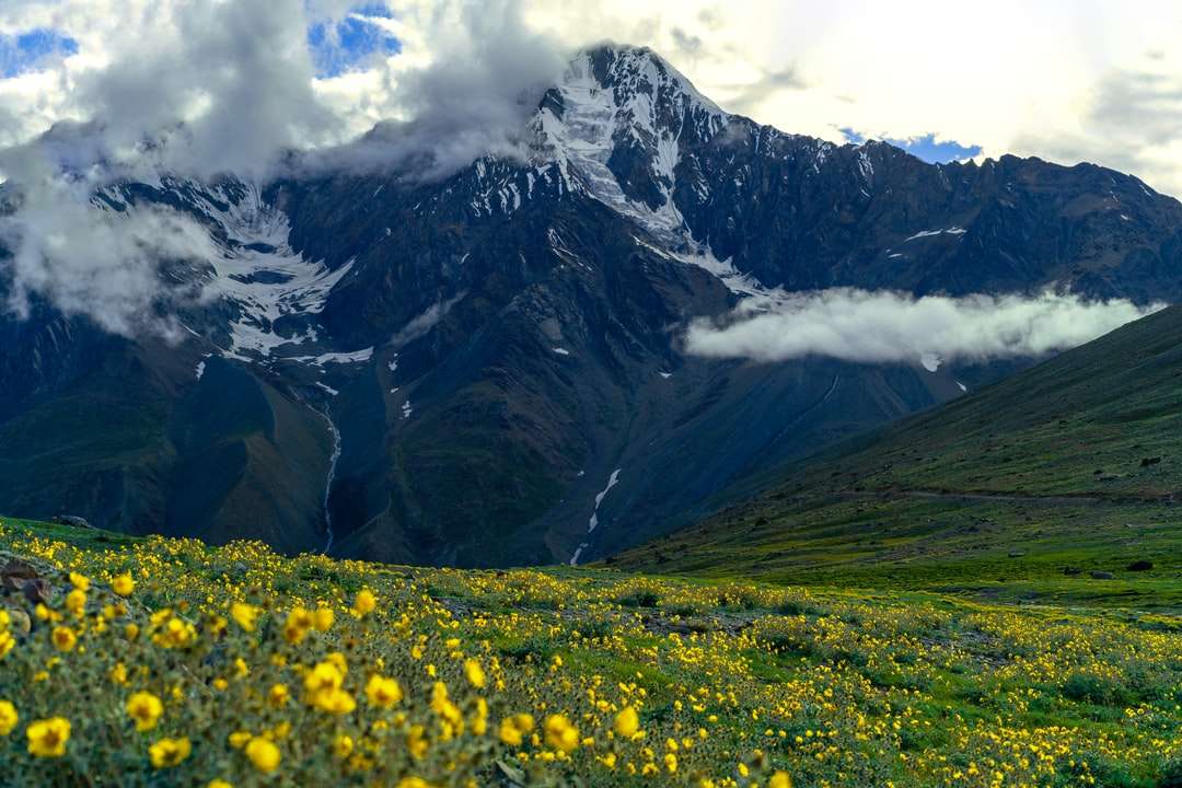 żółte kwiatowe pole w pobliżu góry w ciągu dnia puzzle online