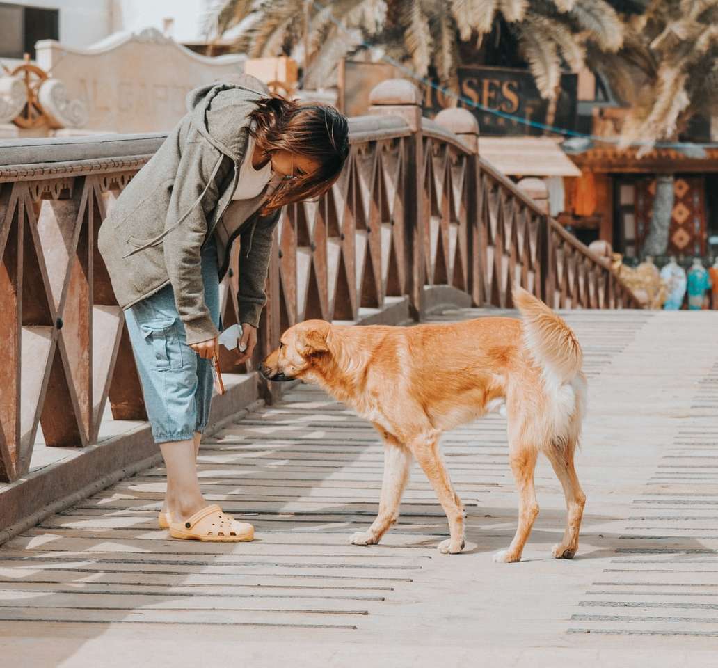 kobieta schylająca się obok długowłosego brązowego psa puzzle online