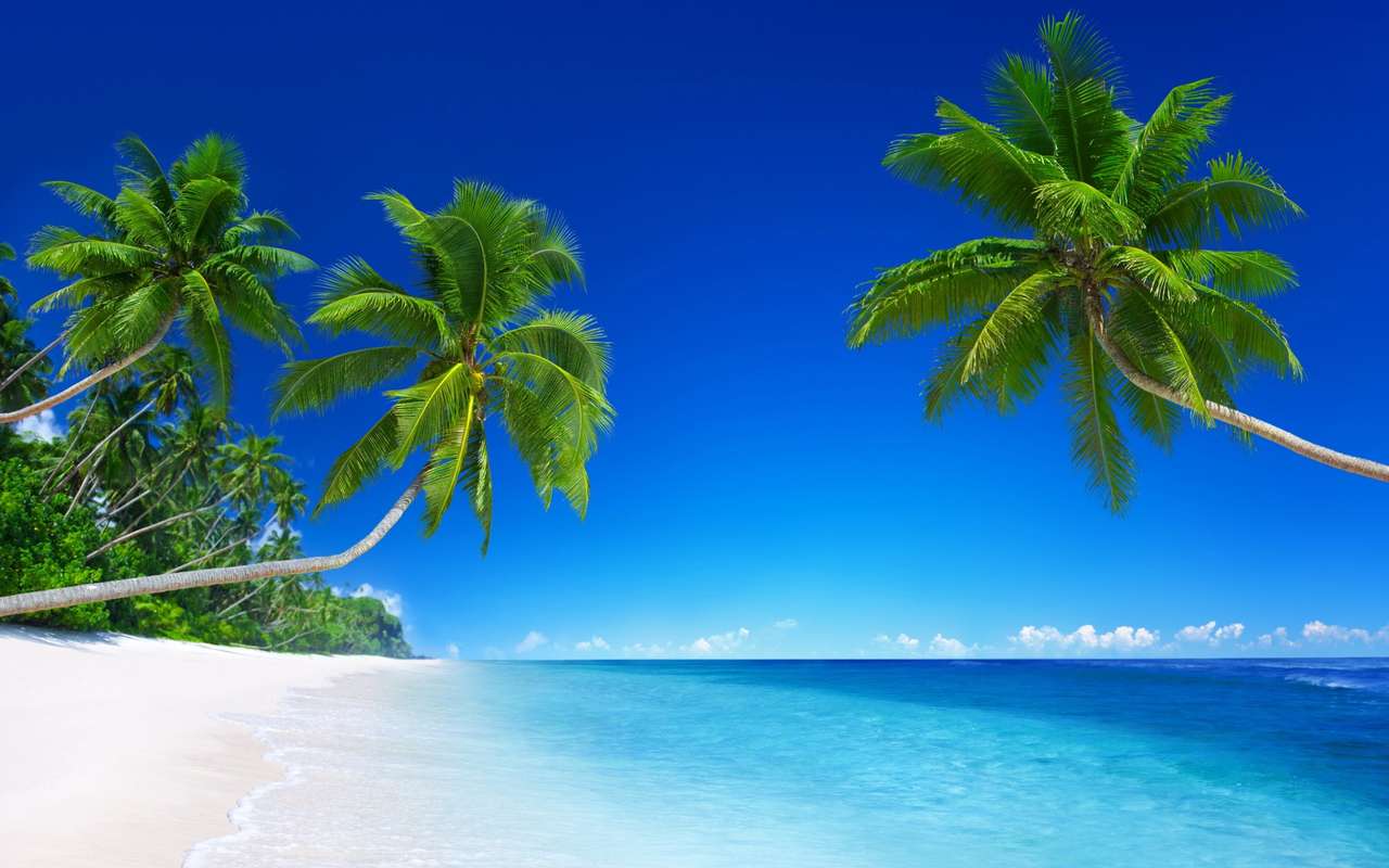 Palmy na plaży puzzle online