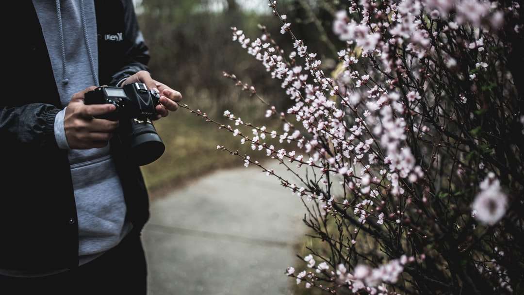 osoba trzymająca czarny aparat obok białych kwiatów puzzle online
