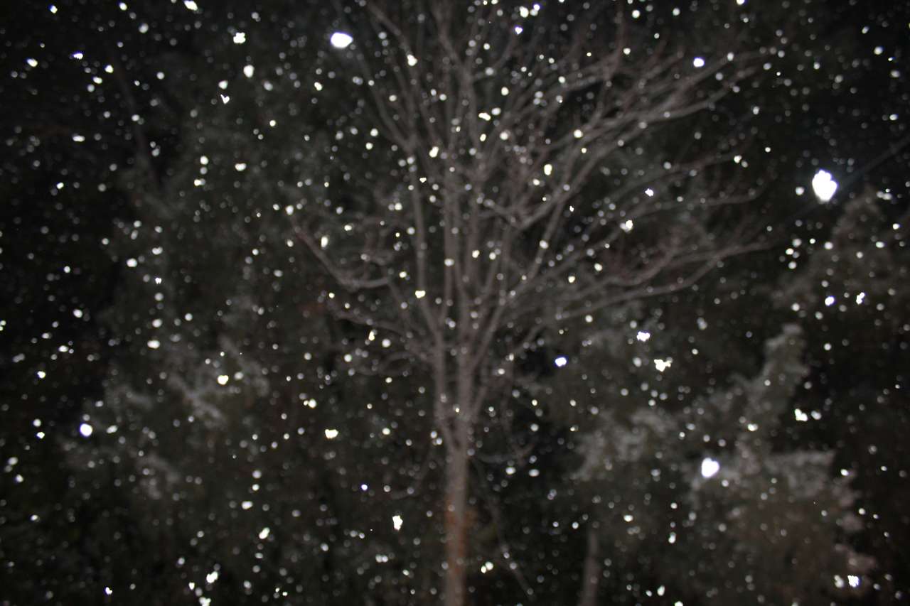 Śnieżne drzewo puzzle online
