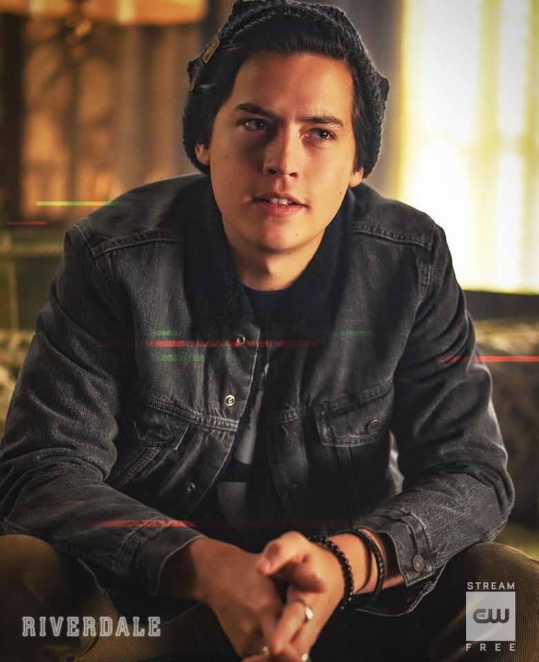 Cole Sprouse Online-Puzzle