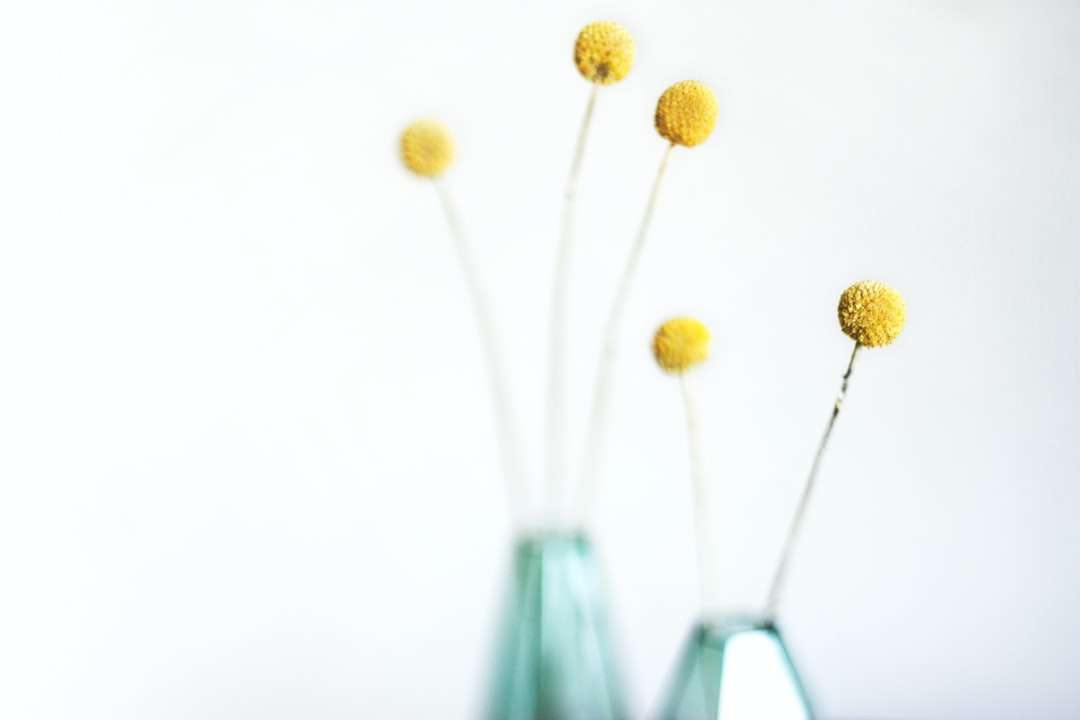 fotografia płytkich żółtych kwiatów puzzle online