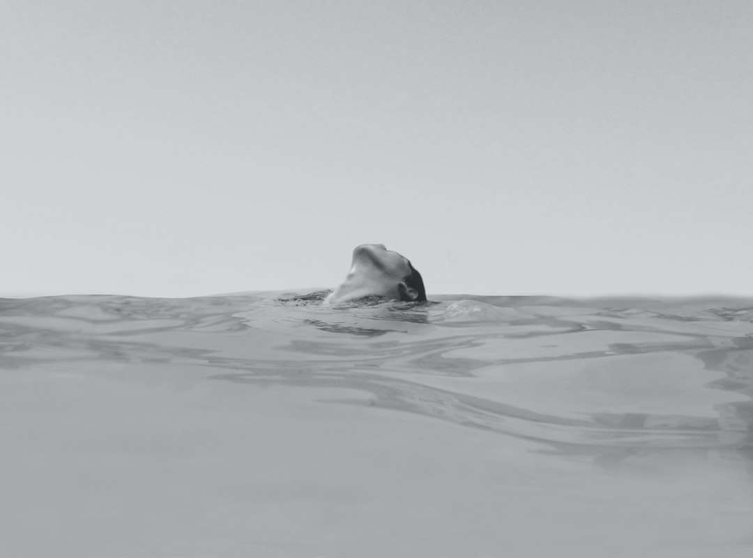 kobieta pływająca na fotografii oceanu puzzle online