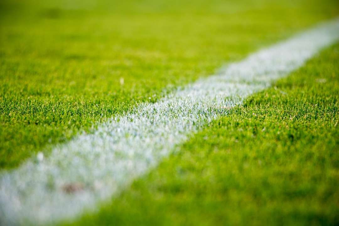 Close-up z białą linią na zielonej trawie w boisko do piłki nożnej puzzle online