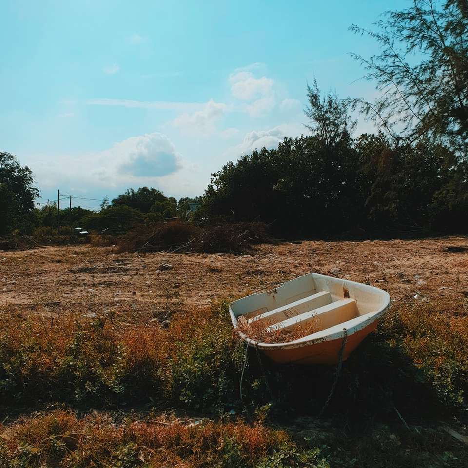 biała łódź na brązowym polu trawy w ciągu dnia puzzle online