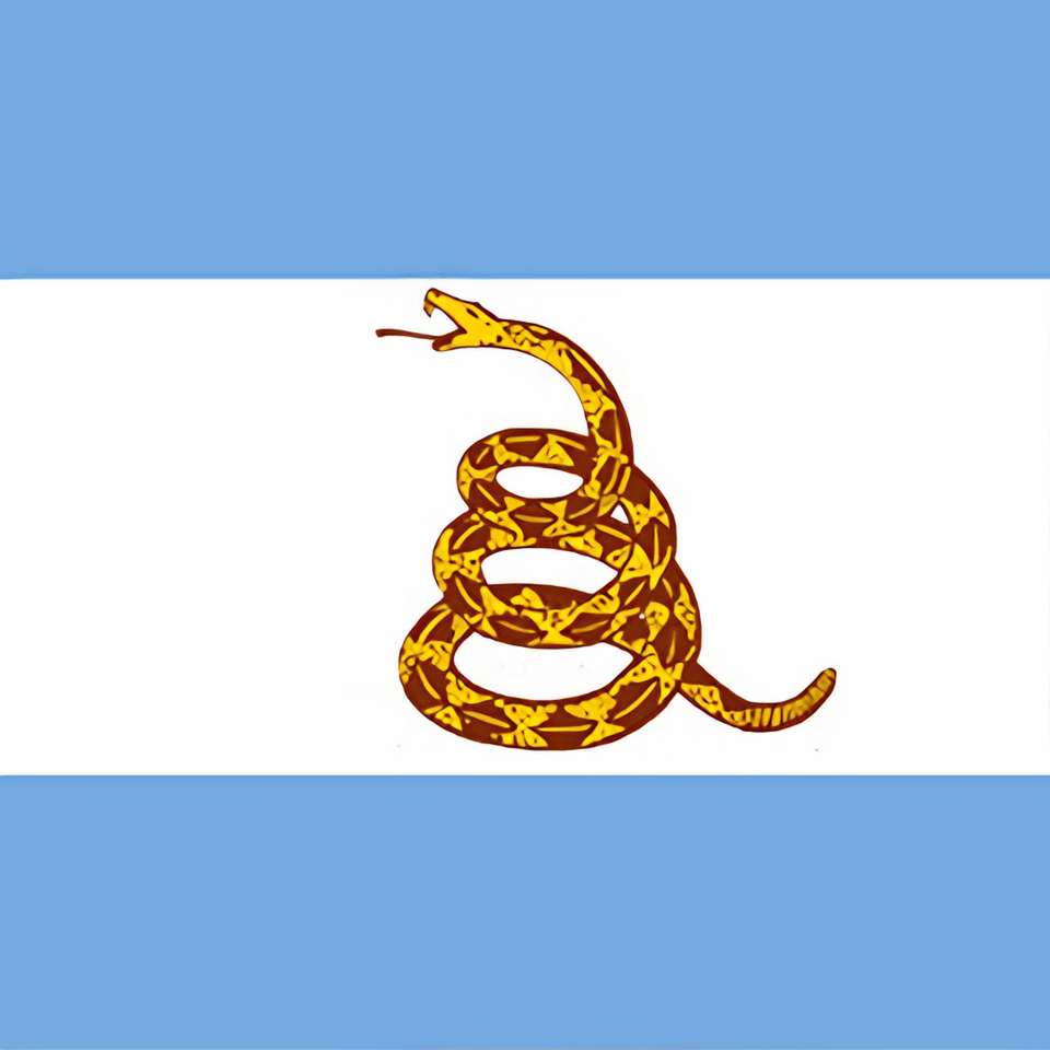 Liberalna flaga Argentyny puzzle online