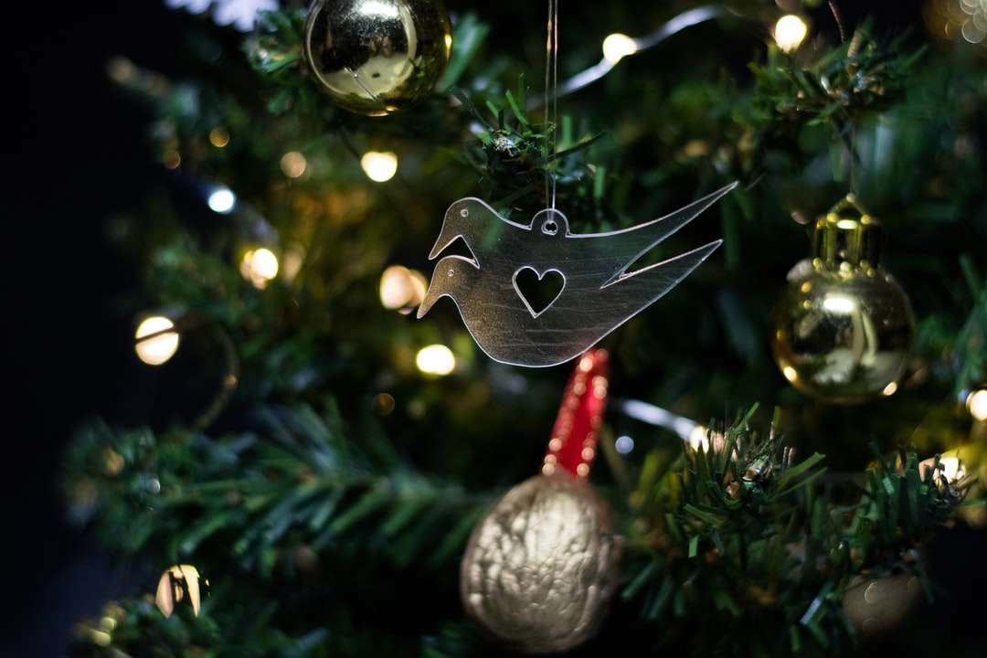 Fotografia makro ptaka Wystrój świąteczny puzzle online
