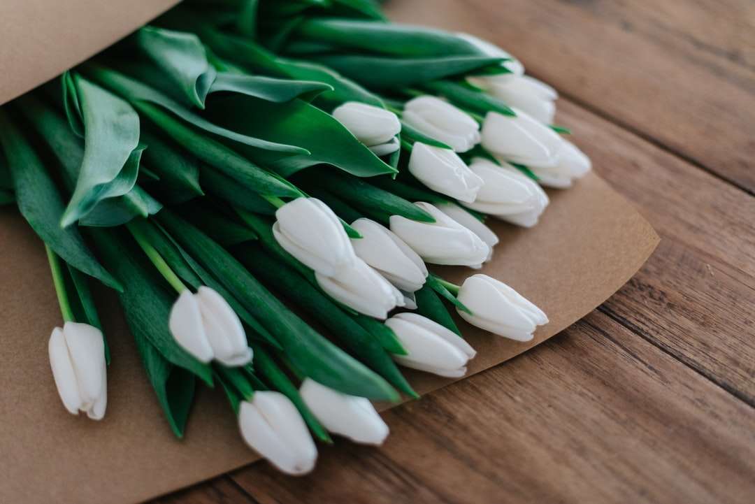 Close-up fotografii z białym płatkiem bukiet kwiatów puzzle online