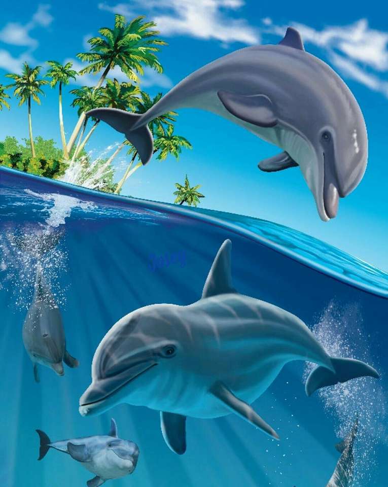 Wesołe delfiny puzzle online
