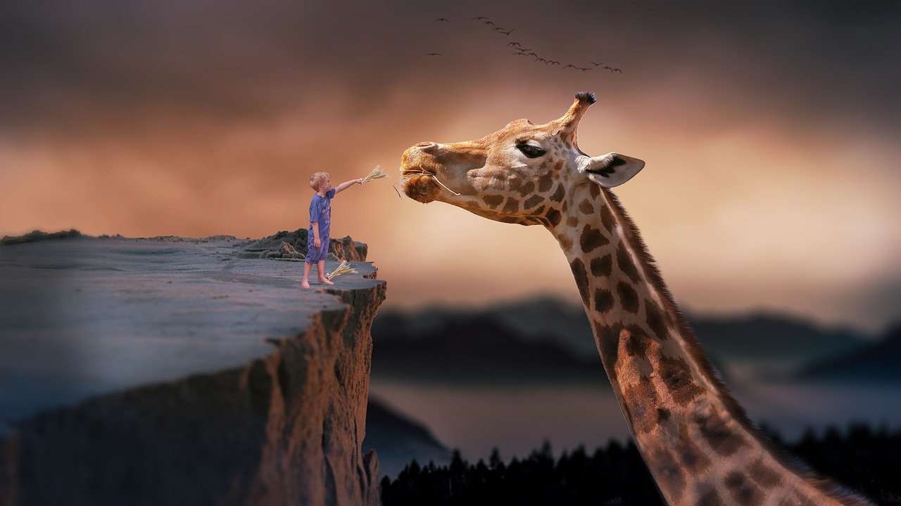Żyrafa i chłopak puzzle online