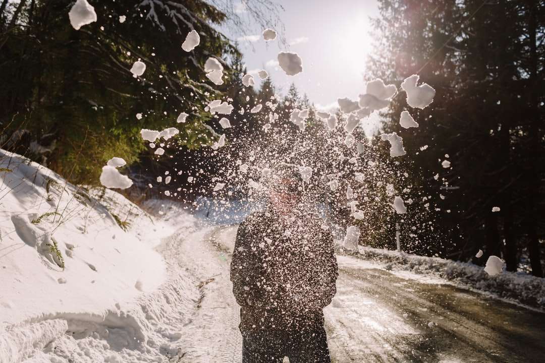 osoba w czarnej kurtce stojąca na ziemi pokrytej śniegiem puzzle online