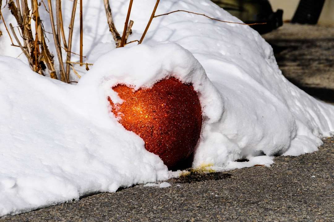雪に覆われた茶色の丸い果実 パズル