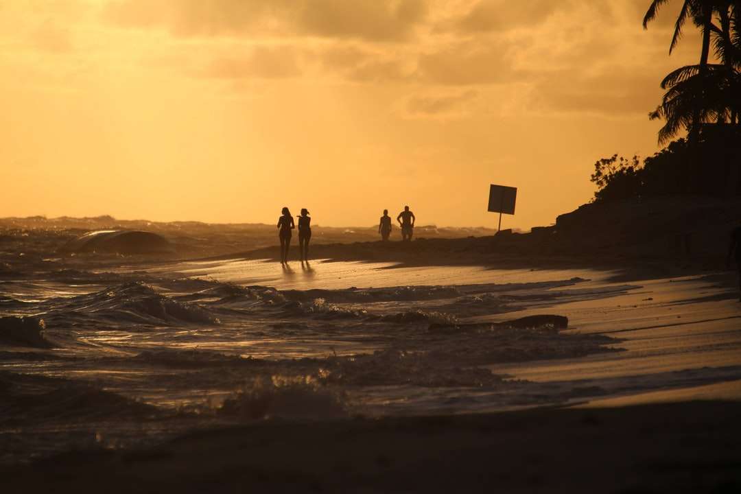 sylwetka ludzi chodzących na plaży podczas zachodu słońca puzzle online