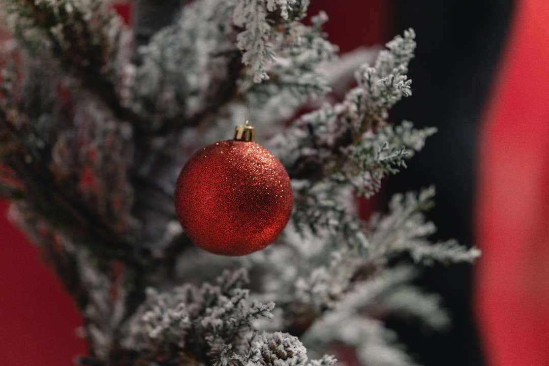 czerwona cacko na drzewie ze śniegiem puzzle online