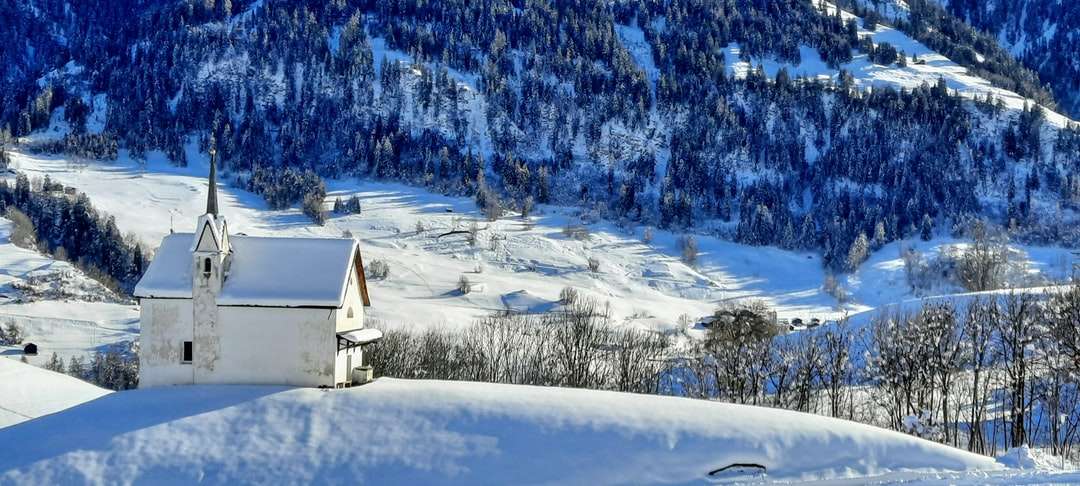 biały i czarny dom na ziemi pokrytej śniegiem puzzle online