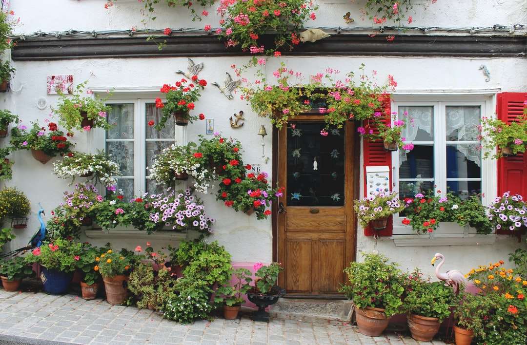 czerwone i różowe kwiaty na brązowych drzwiach drewnianych puzzle online