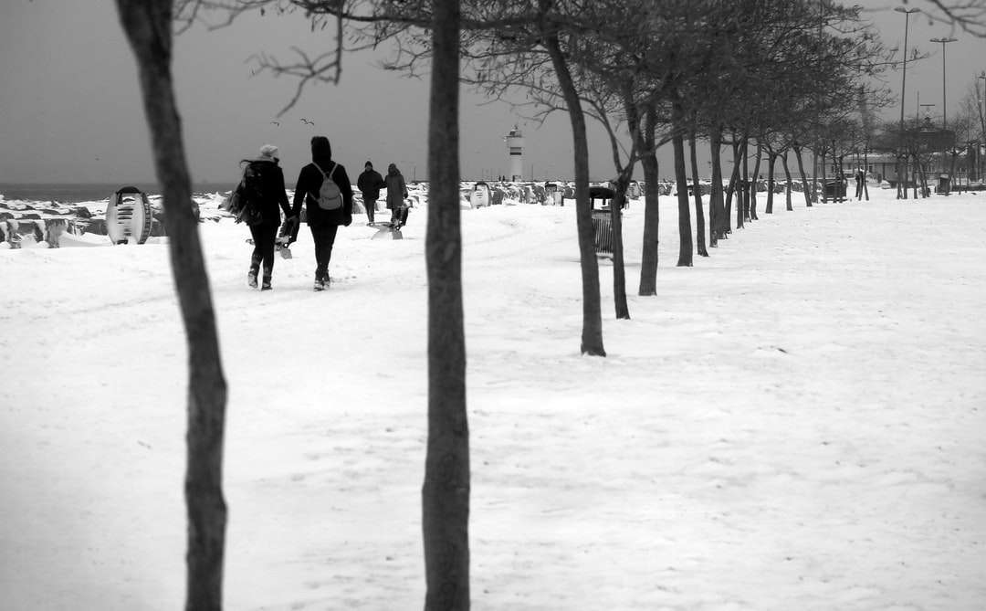 ludzie chodzą po zaśnieżonej ziemi w pobliżu nagich drzew puzzle online
