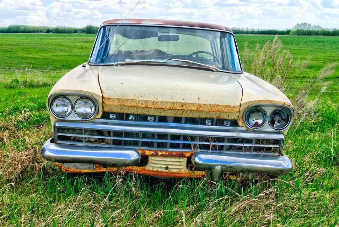 brązowy samochód na zielonym polu trawy w ciągu dnia puzzle online