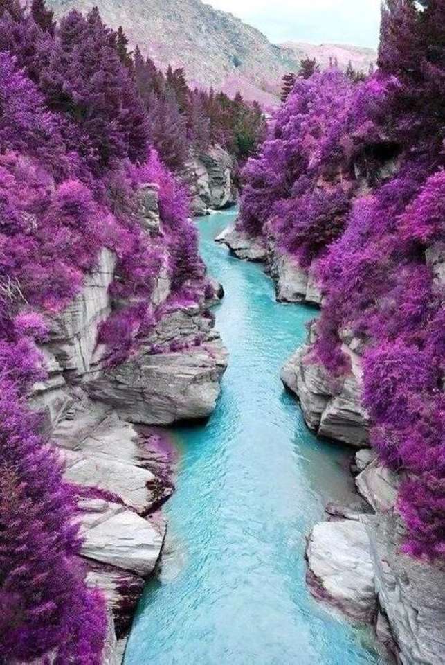 Rzeka przez dolinę z fioletowymi roślinami puzzle online