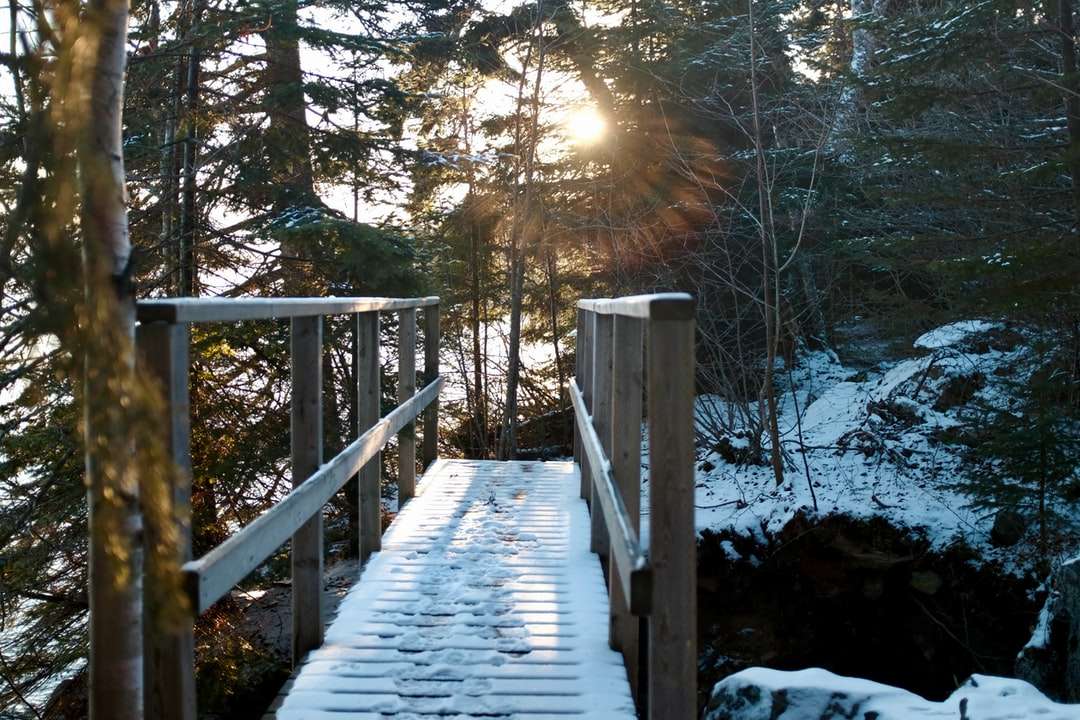 brązowy drewniany most nad ziemią pokrytą śniegiem puzzle online