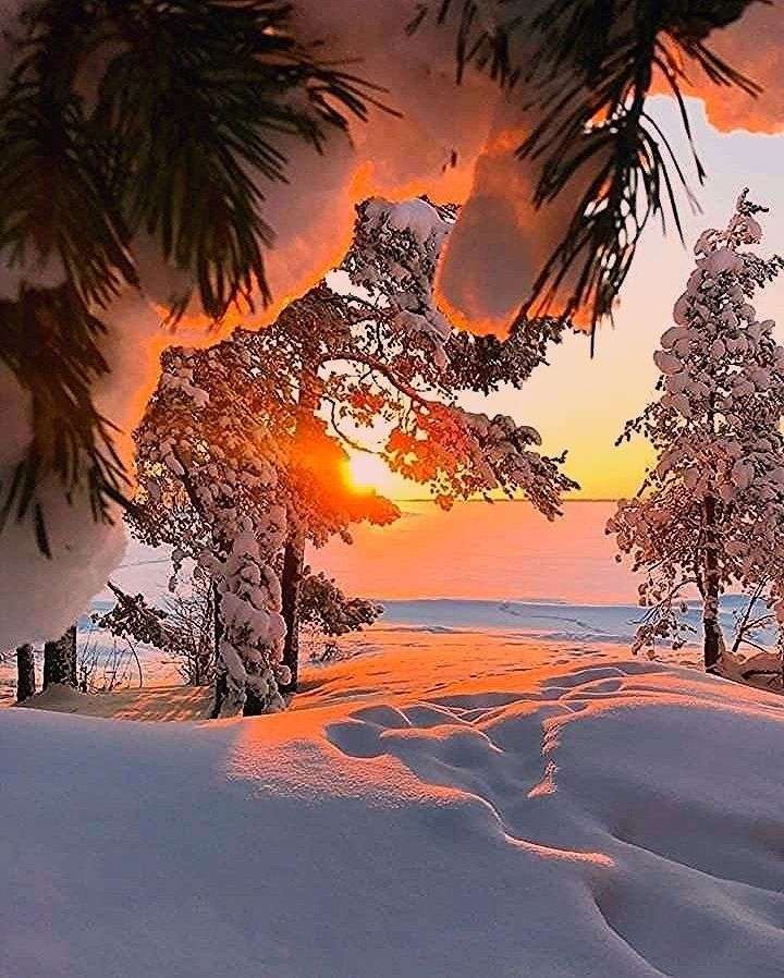 zimowy krajobraz, wschód słońca puzzle online