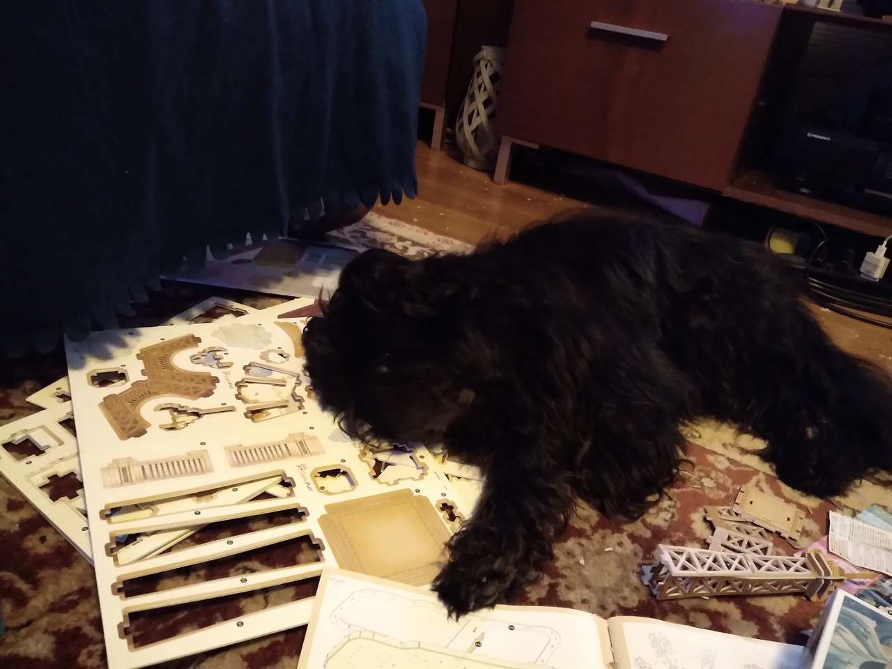 Mój pies układa puzzle 3d : ) puzzle online