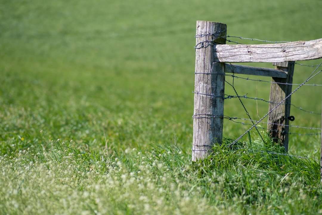 brązowy drewniany płot na zielonym polu trawy w ciągu dnia puzzle online