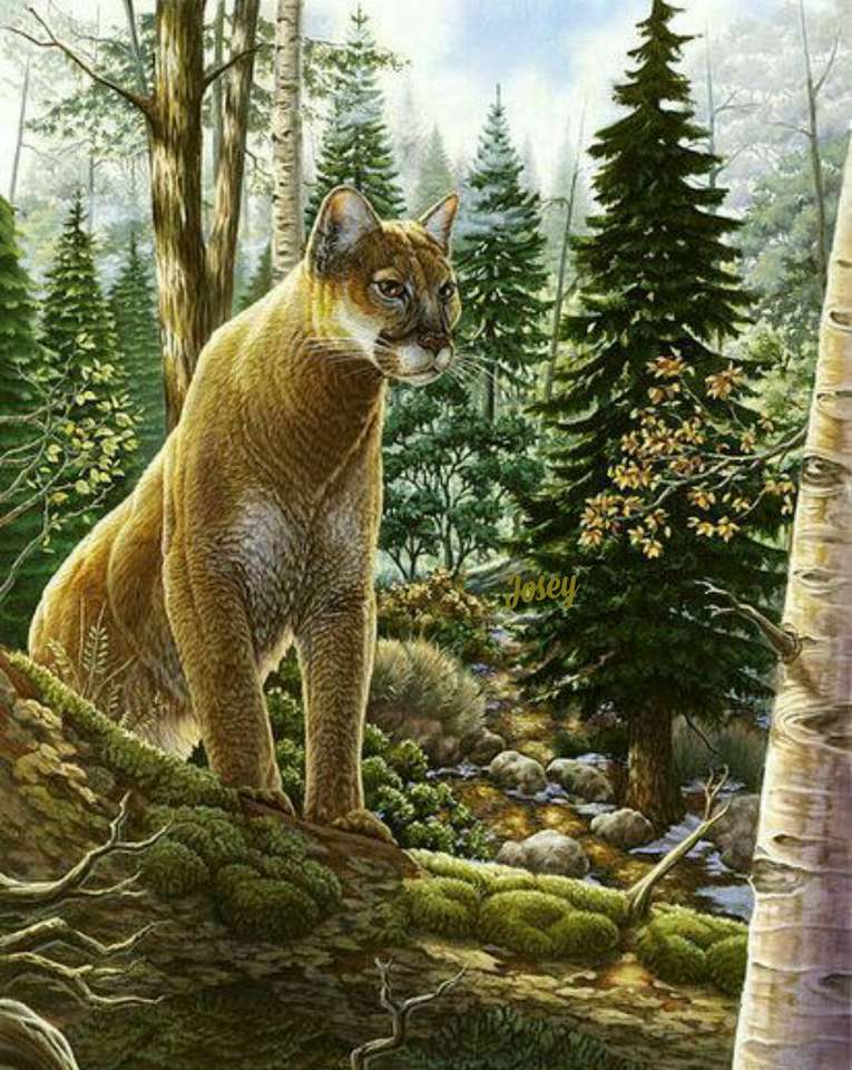 Puma w lesie puzzle online