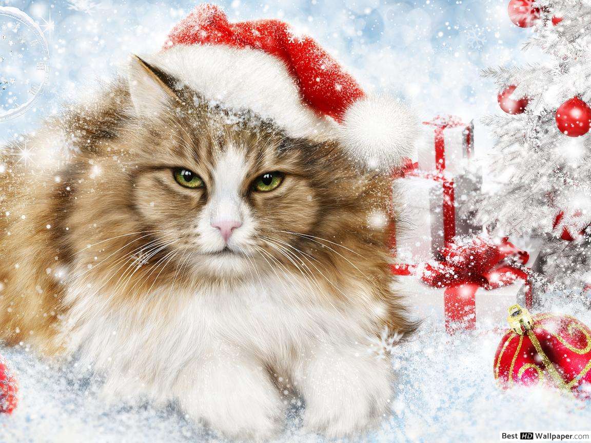 świąteczny kotek puzzle online