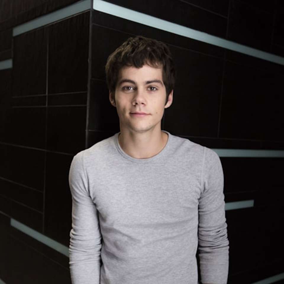 Dylan O’Brien puzzle online