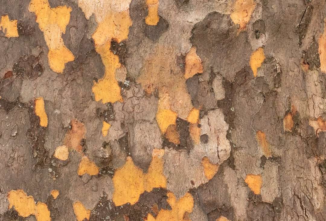 brązowe i szare fragmenty kamienia puzzle online