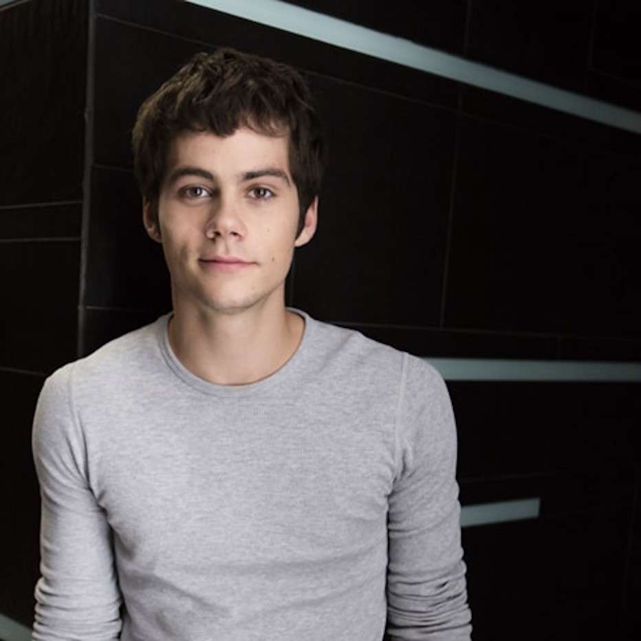 Dylan O’Brien puzzle online