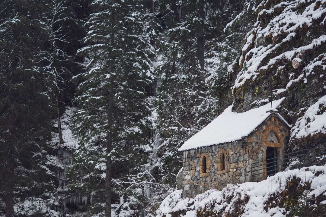 brązowy dom otoczony drzewami pokrytymi śniegiem puzzle online