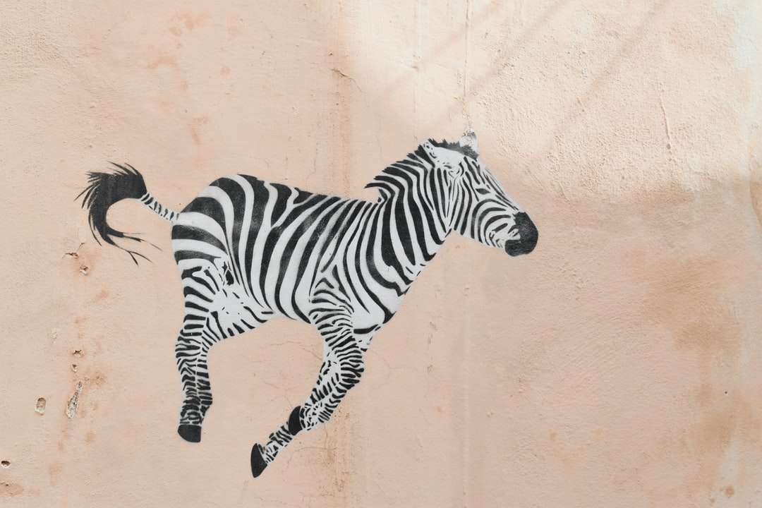 głowa zwierzęcia zebry na brązowym piasku puzzle online
