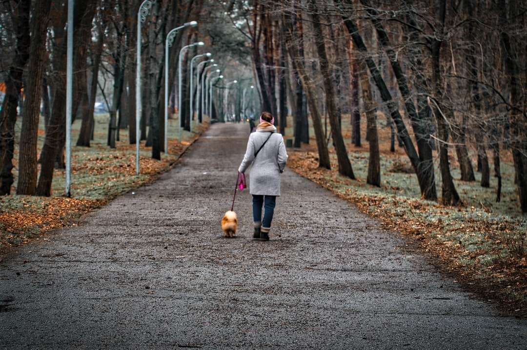kobieta w szarym płaszczu, chodzenie na ścieżce z psem puzzle online